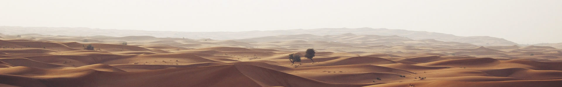 ɶʤɭƼ޹˾